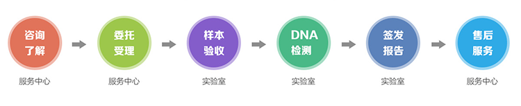 河北隐私亲子鉴定流程